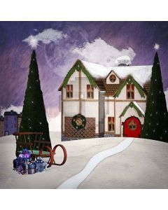 Snowy House Digital Printed Photography Backdrop YHA-107