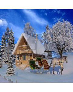 Chrismas Snow Digital Printed Photography Backdrop YHA-119
