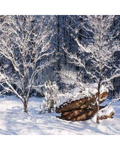 Snow Tree Digital Printed Photography Backdrop YHA-123