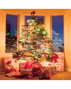 Christmas Gifts Digital Printed Photography Backdrop YHA-125