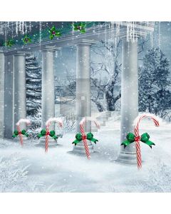 Christmas Snow Digital Printed Photography Backdrop YHA-128