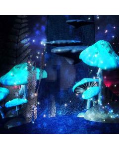 Shiny Mushroom Digital Printed Photography Backdrop YHA-136