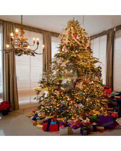 The Lights Of Christmas Digital Printed Photography Backdrop YHA-137