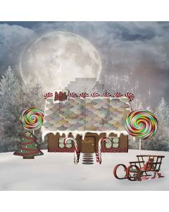 Happy House And Moonlight Digital Printed Photography Backdrop YHA-145