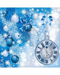 Snow Time Digital Printed Photography Backdrop YHA-159