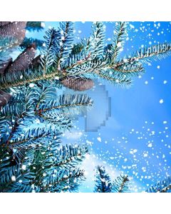 Clear Snow Digital Printed Photography Backdrop YHA-161