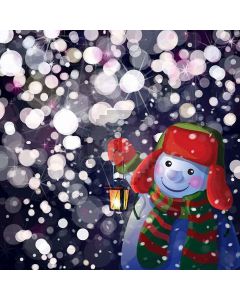 Happy Snowman Digital Printed Photography Backdrop YHA-164
