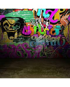 Amazing Graffiti Digital Printed Photography Backdrop YHA-238