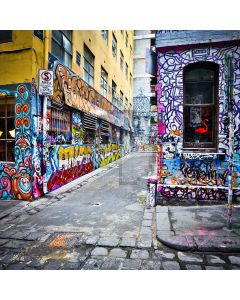 Street Graffiti Digital Printed Photography Backdrop YHA-240