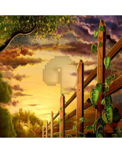Gentle Twilight Digital Printed Photography Backdrop YHA-267