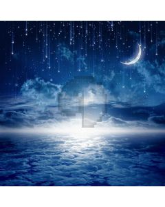 Paradise Scenery Digital Printed Photography Backdrop YHA-297