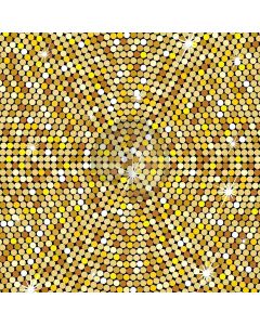 Shiny Wall Digital Printed Photography Backdrop YHA-311
