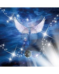 Pretty Wings Digital Printed Photography Backdrop YHA-372
