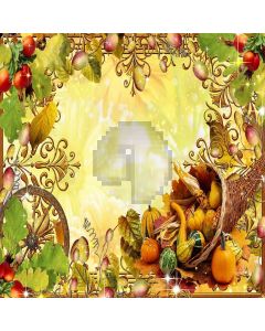 Harvest Fruits Digital Printed Photography Backdrop YHA-407