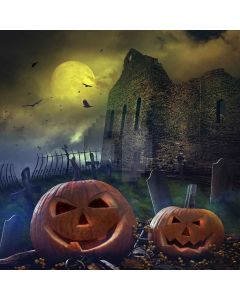 Horror Night Digital Printed Photography Backdrop YHA-412