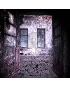 Shabby Door Digital Printed Photography Backdrop YHA-413