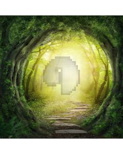 Mysterious Forest Digital Printed Photography Backdrop YHA-434