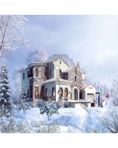 Snowy Houses Digital Printed Photography Backdrop YHA-443