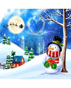 Realistic Snowman Digital Printed Photography Backdrop YHA-444