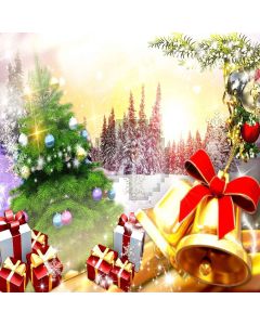 Beautiful Wrapped Gifts Digital Printed Photography Backdrop YHA-461