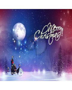 Christmas Night Digital Printed Photography Backdrop YHA-466