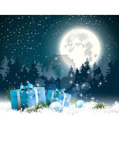 Bright Moon Digital Printed Photography Backdrop YHA-481