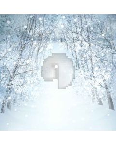 Heavy Snow Digital Printed Photography Backdrop YHA-499