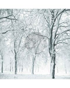 Snowy Forest Digital Printed Photography Backdrop YHA-506