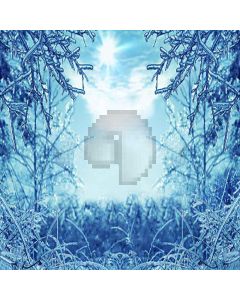 Frozen Grass Digital Printed Photography Backdrop YHA-508