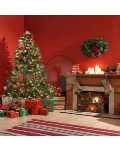 Different Xmas Stockings Digital Printed Photography Backdrop YHA-521