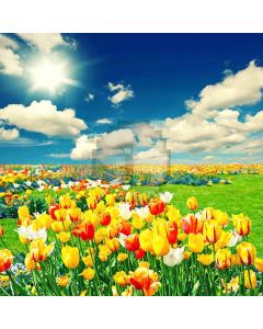 Fragrant Flowers Digital Printed Photography Backdrop YHA-548