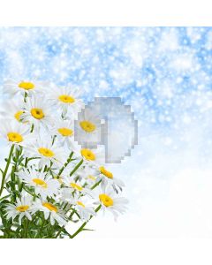 Blooming Flowers Digital Printed Photography Backdrop YHA-551