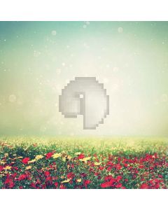 Fresh Flowers Digital Printed Photography Backdrop YHA-553