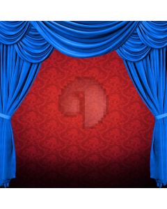 Beautiful Stage Digital Printed Photography Backdrop YHB-001