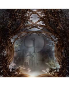 Fantasy Castle Digital Printed Photography Backdrop YHB-015
