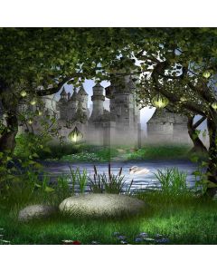 Quiet And Beautiful Castle Digital Printed Photography Backdrop YHB-021