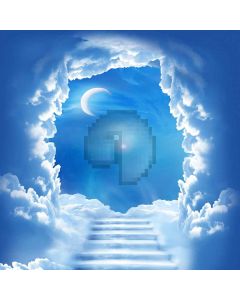 Moonlight  Ladder Digital Printed Photography Backdrop YHB-026