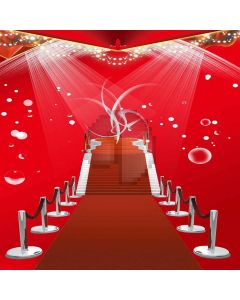 Superstar Performances Digital Printed Photography Backdrop YHB-033