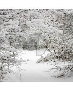 Snowy Scene Digital Printed Photography Backdrop YHB-049