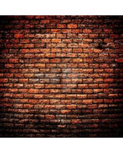 Different Brick Wall Digital Printed Photography Backdrop YHB-092