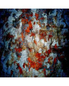 Shabby Wood Digital Printed Photography Backdrop YHB-097