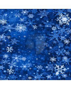 Nice Snowflakes Digital Printed Photography Backdrop YHB-135
