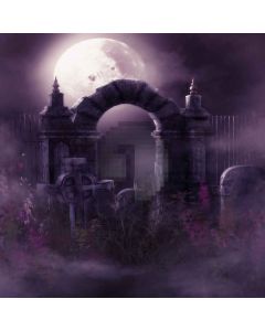 Arched Door Digital Printed Photography Backdrop YHB-154