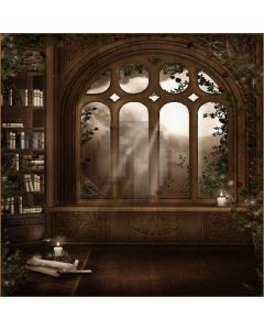 Clean Room Digital Printed Photography Backdrop YHB-162