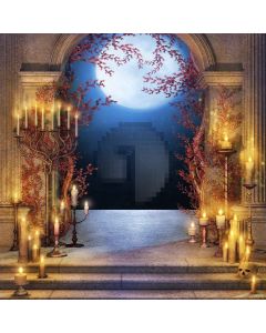 Full Moon Digital Printed Photography Backdrop YHB-166