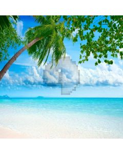 Comfortable Beach Digital Printed Photography Backdrop YHB-172