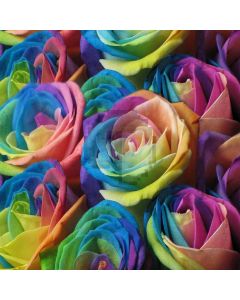 Magic Flowers Digital Printed Photography Backdrop YHB-173