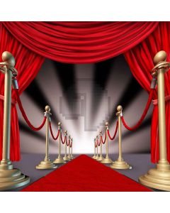 Attractive Carpet Digital Printed Photography Backdrop YHB-178