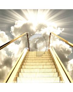 Outdoor Ladder Digital Printed Photography Backdrop YHB-182