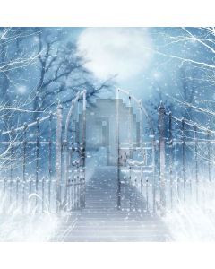 Beautiful Moonlight Digital Printed Photography Backdrop YHB-220